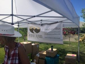 Stampede | Calgary Dentist | Scenic Acres Dental | NW Calgary