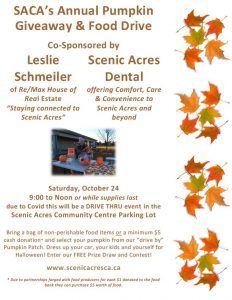 Pumpkin Giveaway | Calgary Dentist | Scenic Acres Dental | NW Calgary